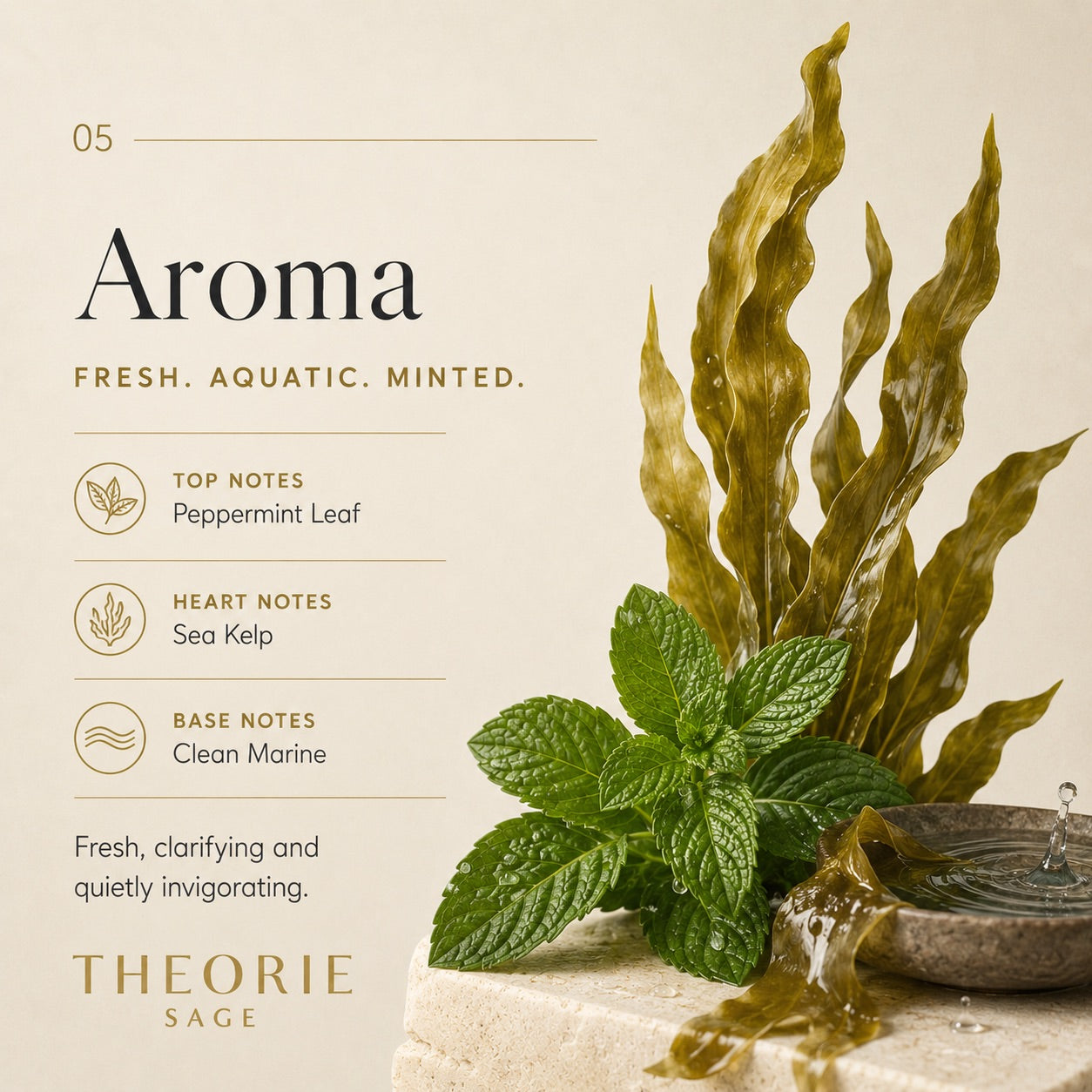 Aromatherapy description with mint leaves and seaweed on a beige background, featuring Theorie Sage.